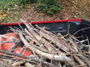Leaf Removal by Gerald Oyerindr for Sunit P. in Atlanta, GA