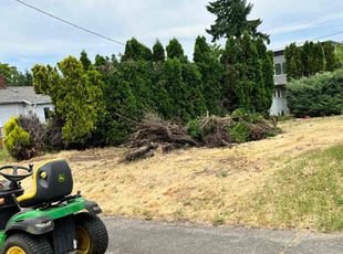 Bush Trimming by Matthew Mullican for Elizabeth H. in Portland, OR
