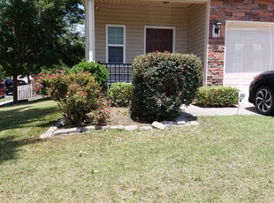 Bush Trimming by Mario Morris for Devin R. in Charlotte, NC