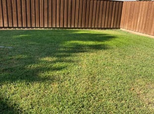 Stephen H.'s Lawn Care service result