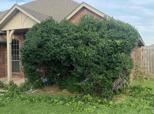 Bush Trimming by Lance Holtman for Karie W. in Oklahoma City, OK