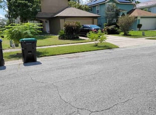 Stephanie H.'s Lawn Mowing Service service result