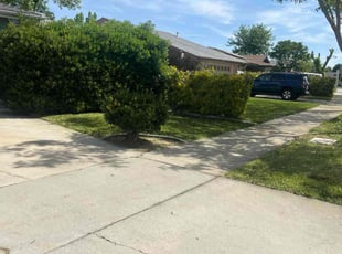 Diana P.'s Lawn Mowing Service service result