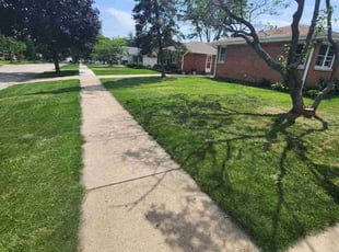 Jeffrey D.'s Lawn Care service result