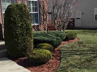 Janice B.'s Grass Cutting service result