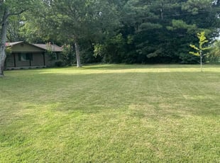 Michael R.'s Lawn Mowing service result