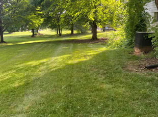 Laura A.'s Lawn Care service result