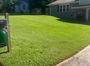 Lakeisha S.'s Yard Cutting service result