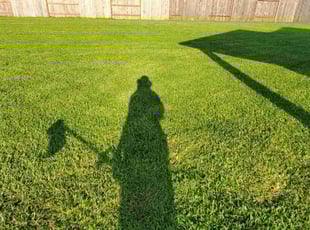 Lou W.'s Lawn Care service result