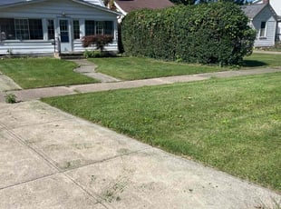 Bush Trimming by Demetrieus Bennett for Doug W. in Euclid, OH