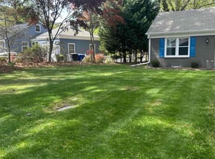 Tanaya H.'s Lawn Care service result