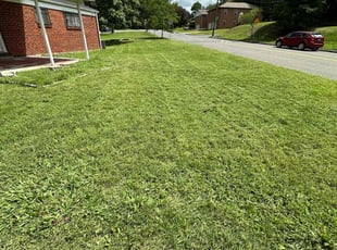 Eve W.'s Lawn Service service result