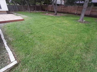 Manuel L.'s Lawn Mowing service result
