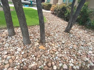 Weeding by Wilmer Guevara for Erica S. in Cedar Park, TX