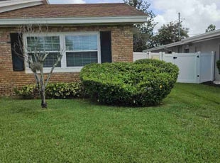 James W.'s Yard Cutting service result