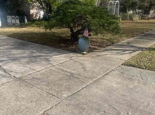 Leaf Removal by Carl George for Shirley W. in Baton Rouge, LA