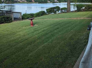 Kellan P.'s Lawn Care service result