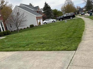 Andre H.'s Lawn Service service result