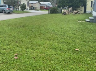 Roxanne C.'s Lawn Mowing service result