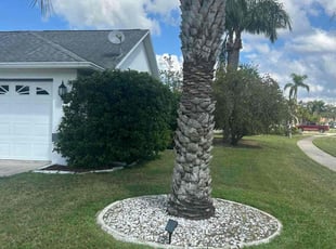 Kelly R.'s Lawn Maintenance service result