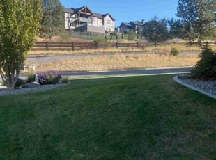 Walter P.'s Grass Cutting service result