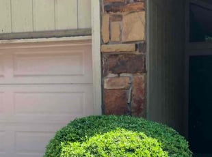 Bush Trimming by Paul Handley for Philip B. in Tulsa, OK