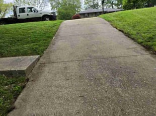 Cindy F.'s Lawn Mowing service result