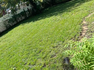 Sherl L.'s Lawn Care service result
