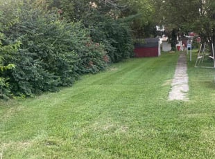 Awilda O.'s Lawn Mowing Service service result