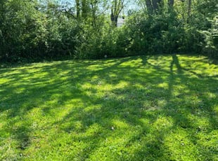 Virgil A.'s Lawn Service service result