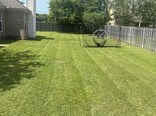 Sharon M.'s Lawn Mowing Service service result