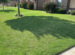Odes M.'s Lawn Care service result