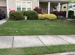 Dennis W.'s Yard Cutting service result
