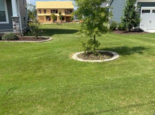 Chris S.'s Yard Cutting service result