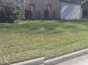 Johnetta E.'s Lawn Mowing service result