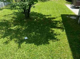 John H.'s Lawn Mowing service result