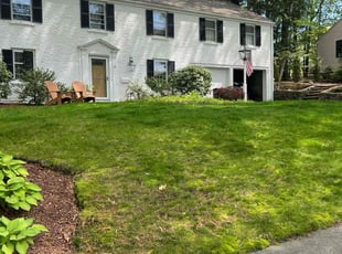 Leaf Removal by Matthew Clouse for Patrick D. in Lynnfield, MA