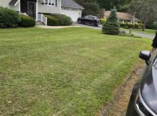 Felicia S.'s Lawn Care service result