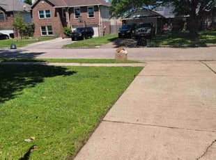 Nancy M.'s Lawn Service service result