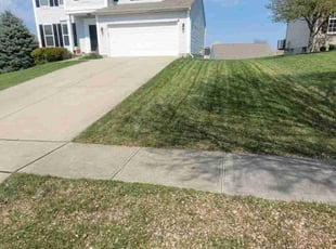 Joe z.'s Lawn Service service result