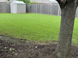 Casey N.'s Lawn Care service result