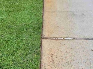 Kevin G.'s Grass Cutting service result