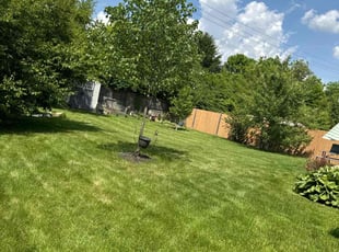Christopher B.'s Lawn Service service result