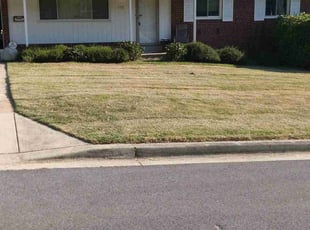 Kathryn M.'s Lawn Care service result