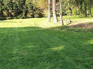 Lina W.'s Lawn Care service result