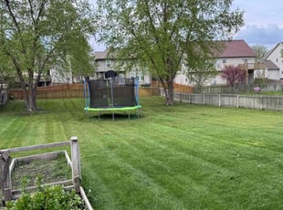 Cheryl C.'s Grass Cutting service result