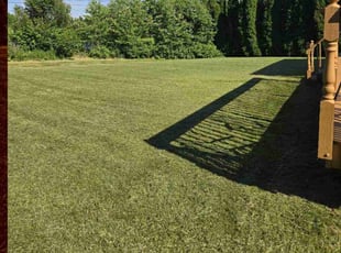 Lorraine M.'s Grass Cutting service result