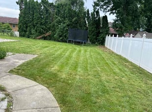 Drury M.'s Lawn Mowing service result