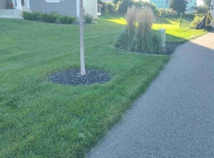 Jennifer R.'s Lawn Mowing service result