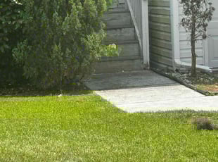 Weeding by Henry Arkwright for Karli M. in Savannah, GA
